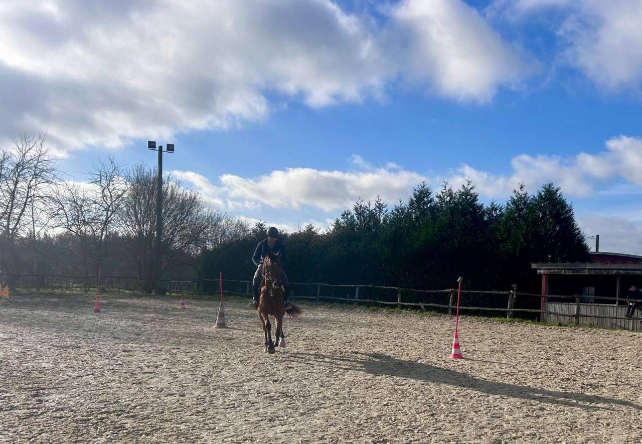 Poulini&egrave;re typ&eacute;e arabe (37.5%) ou pour cavalier averti