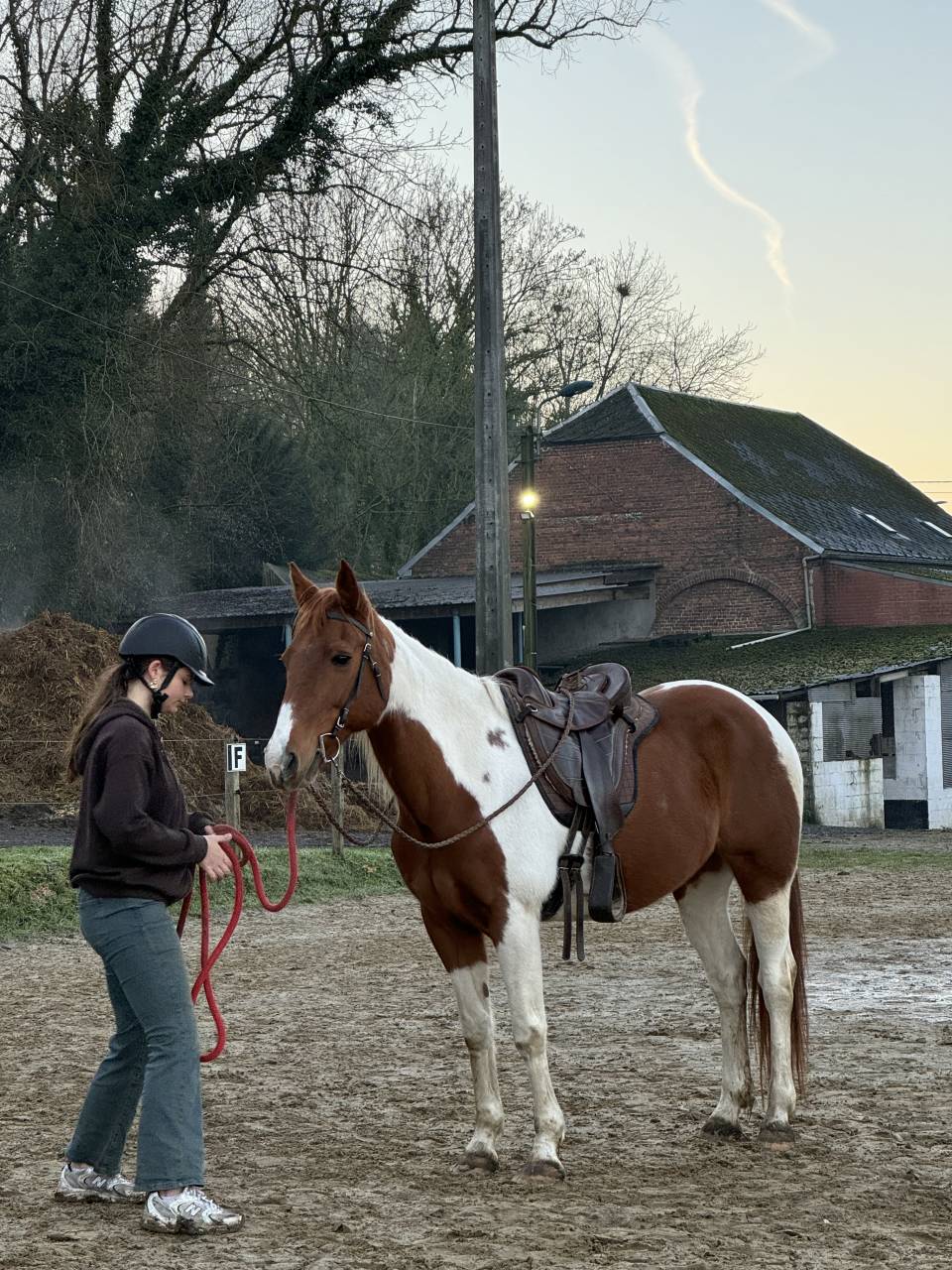 Demi-pension pour Rowan