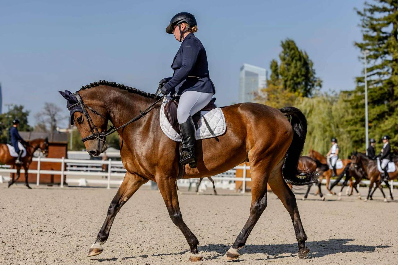 Glacier des tertres-hongre 10 ans 