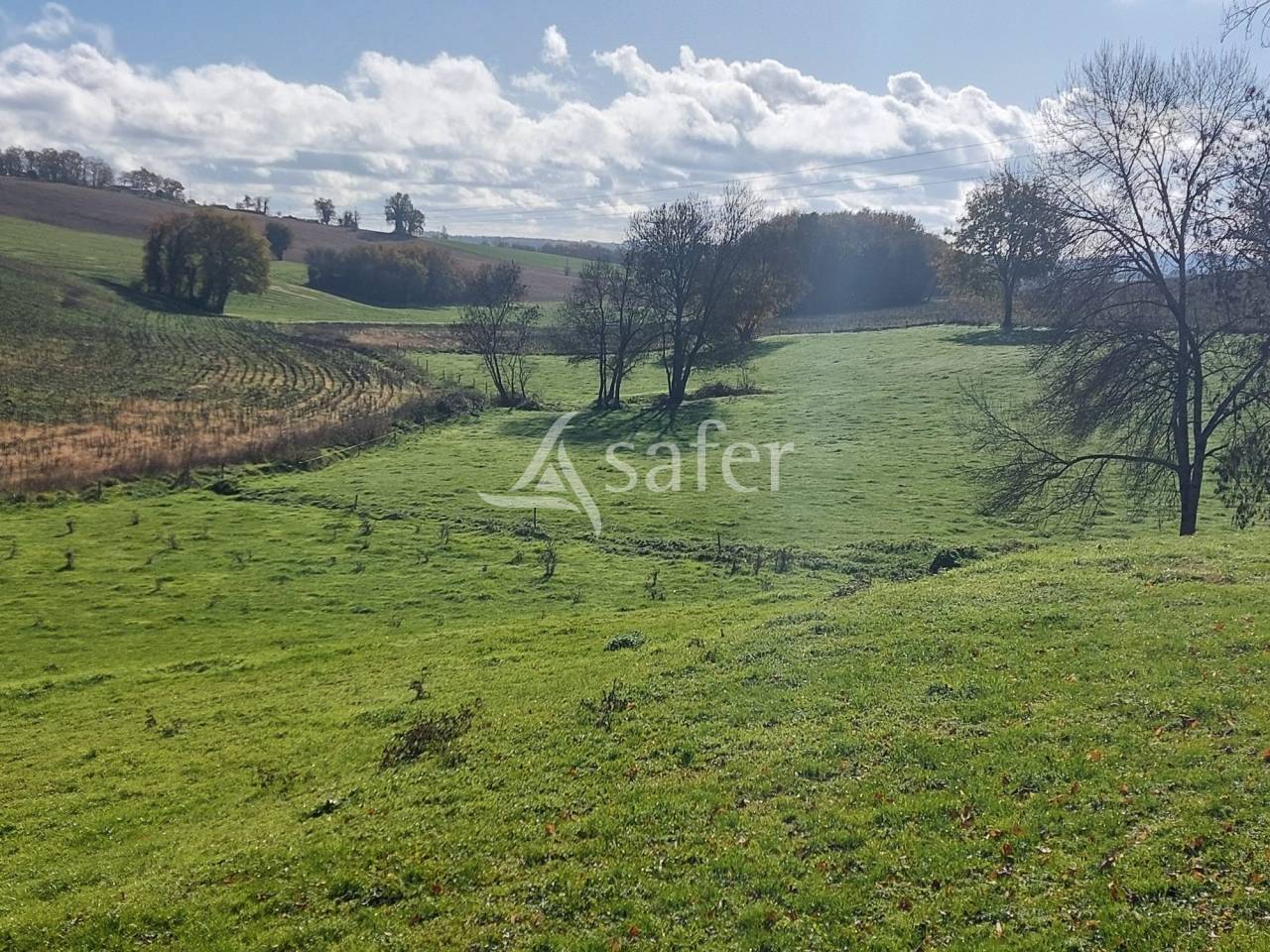 Exploitation d'&eacute;levage sur 104ha, proche Rib&eacute;rac