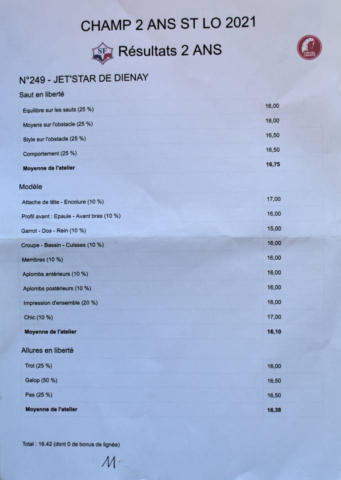 Magnifique hongre prenant 7 ans CSO