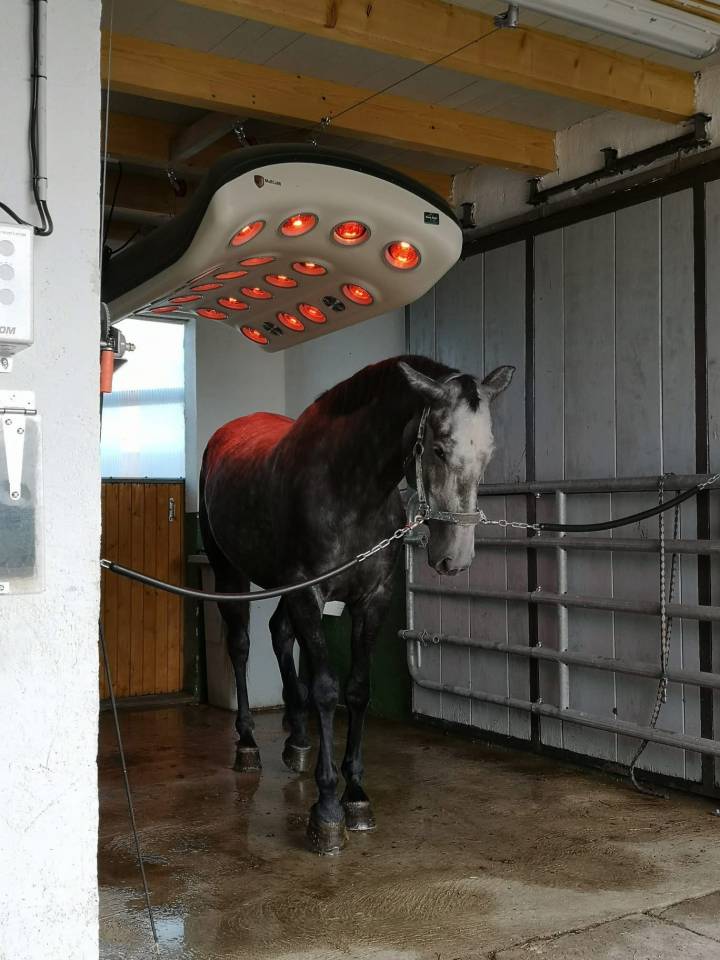 Haras d'&eacute;levage de 39 hectares (71)