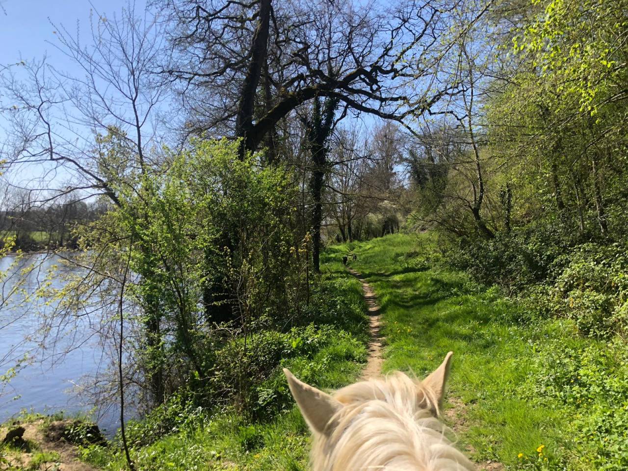 La Vall&eacute;e de la Vienne