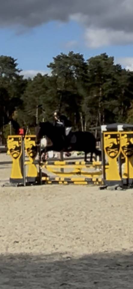  JUMENT PP PS DE 13 ANS 3ke