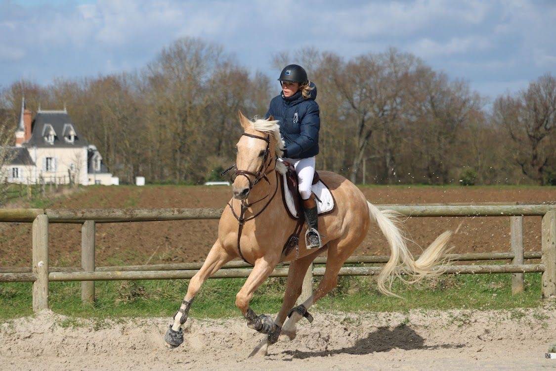 &Agrave; VENDRE TR&Egrave;S JOLI PALOMINO CSO/DRESSAGE