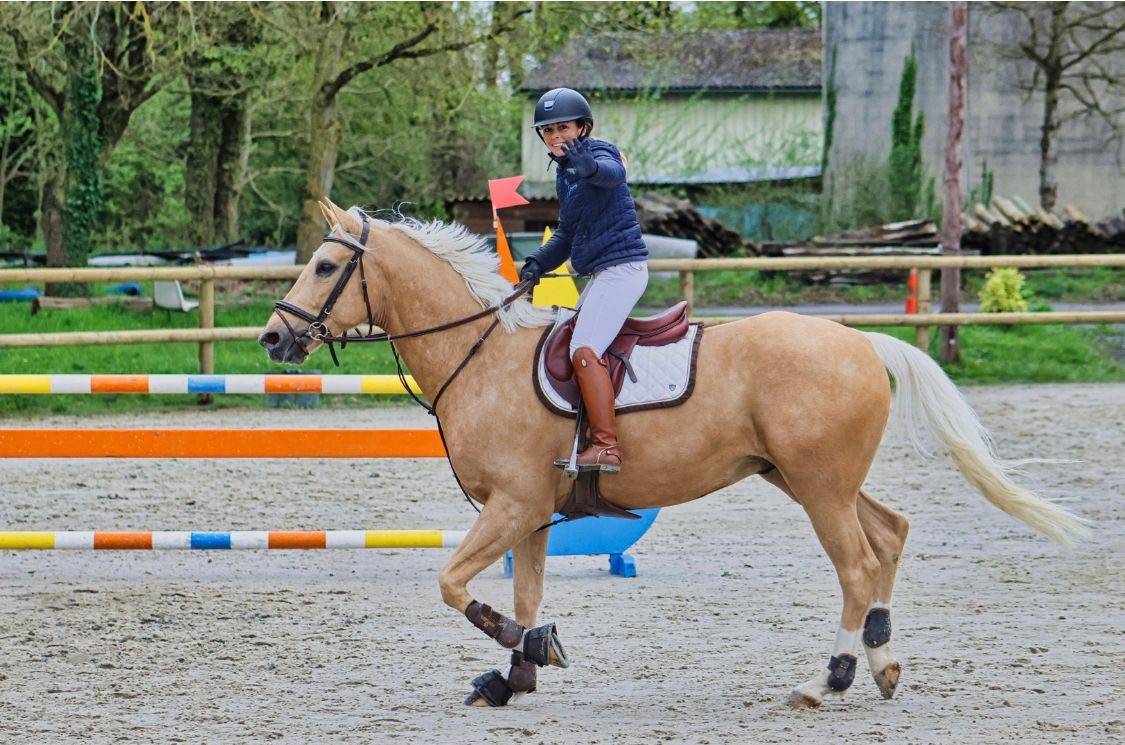 &Agrave; VENDRE TR&Egrave;S JOLI PALOMINO CSO/DRESSAGE