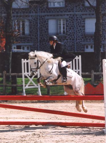 Excellent caract&egrave;re, coup de saut, franchise, facilit&eacute;