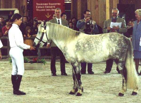 Excellent caract&egrave;re, coup de saut, franchise, facilit&eacute;