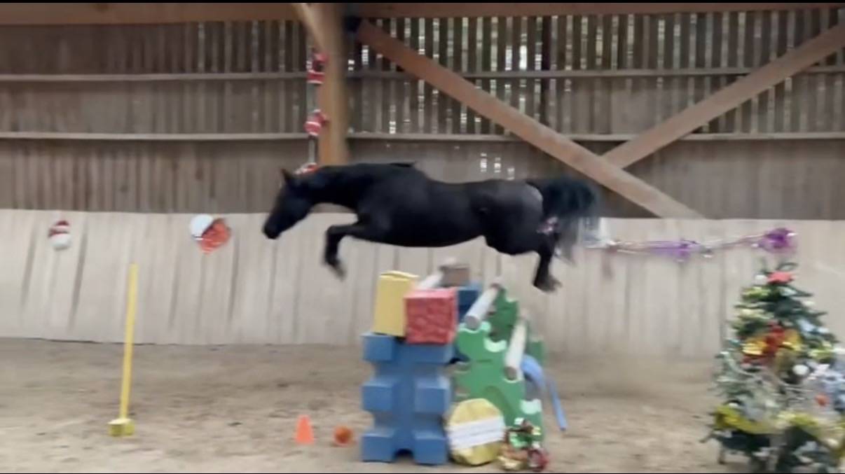 In love d&rsquo;orient 