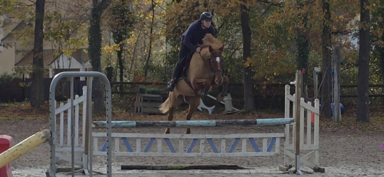 Eole du Quesne, hongre 11 ans 