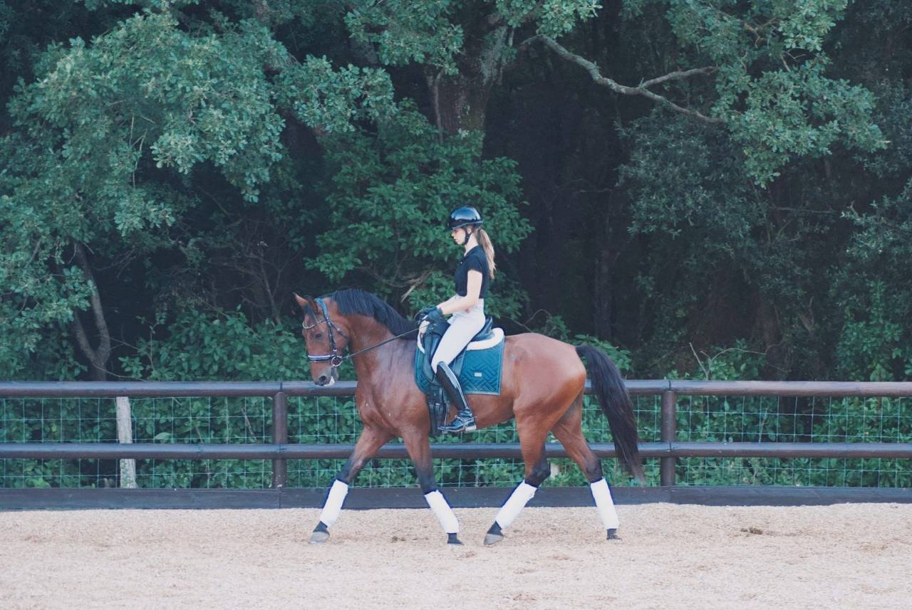 LUSITANIEN HONGRE DRESSE 