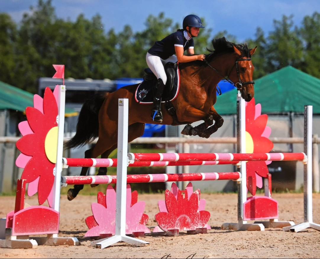 Jument selle fran&ccedil;ais 8 ans 