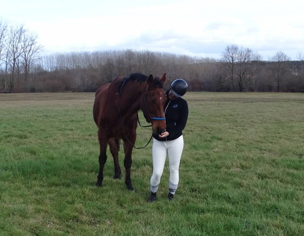 Selle fran&ccedil;ais 22 ans