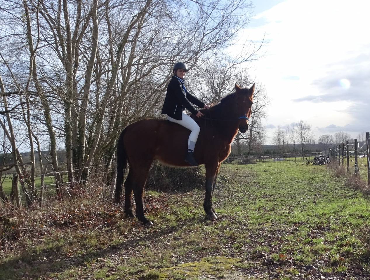 Selle fran&ccedil;ais 22 ans