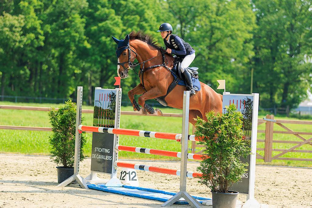 Calm, level-headed mare with enough scope