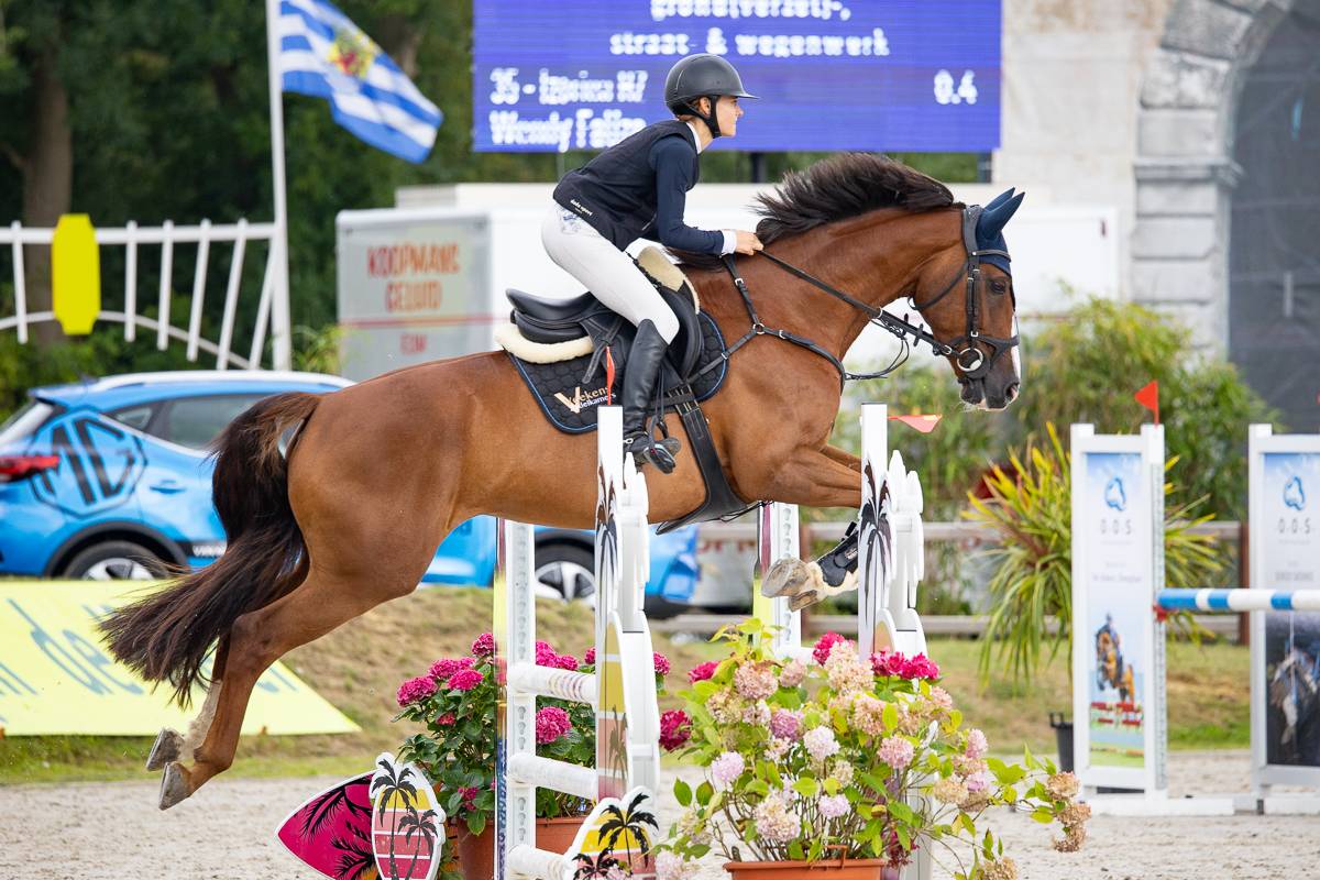 Calm, level-headed mare with enough scope