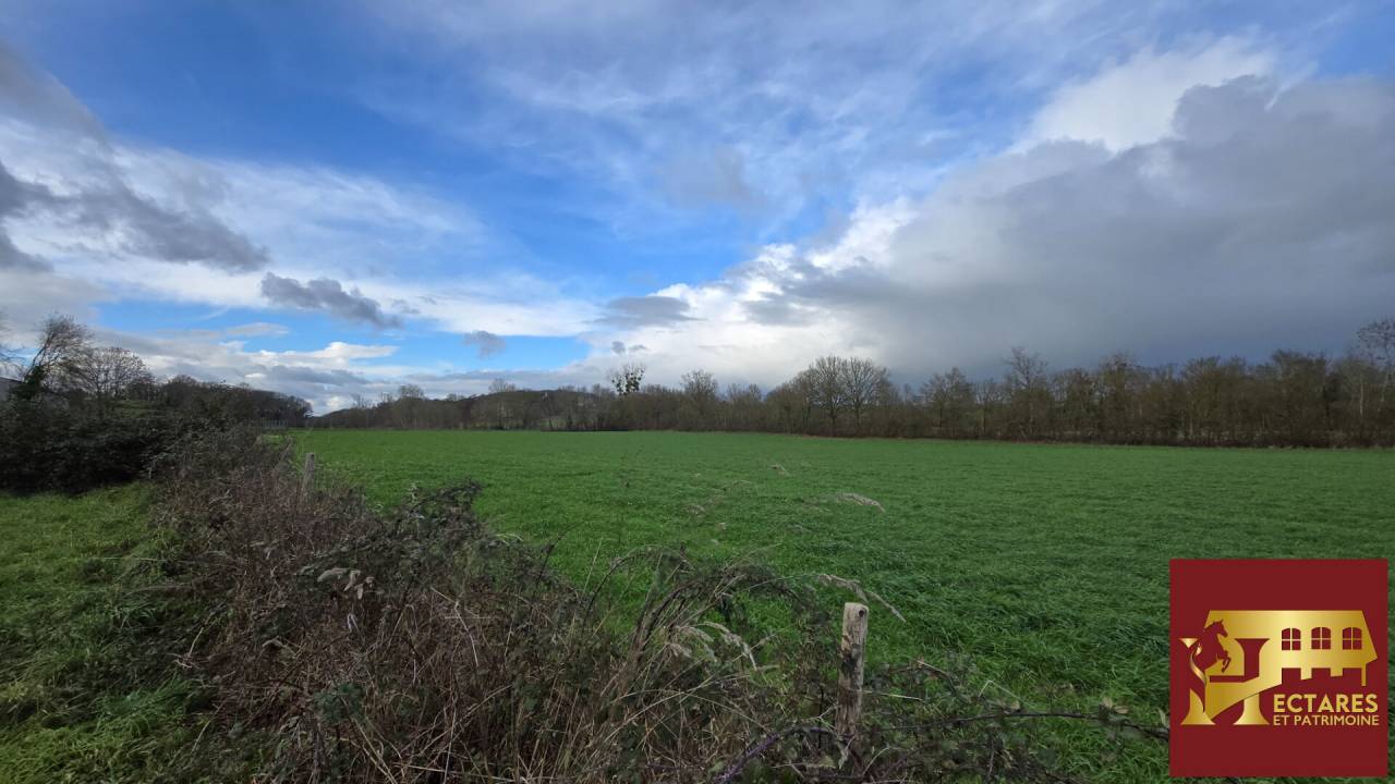 EXCLUSIVITE - Propri&eacute;t&eacute; Equestre sur 6 hectares