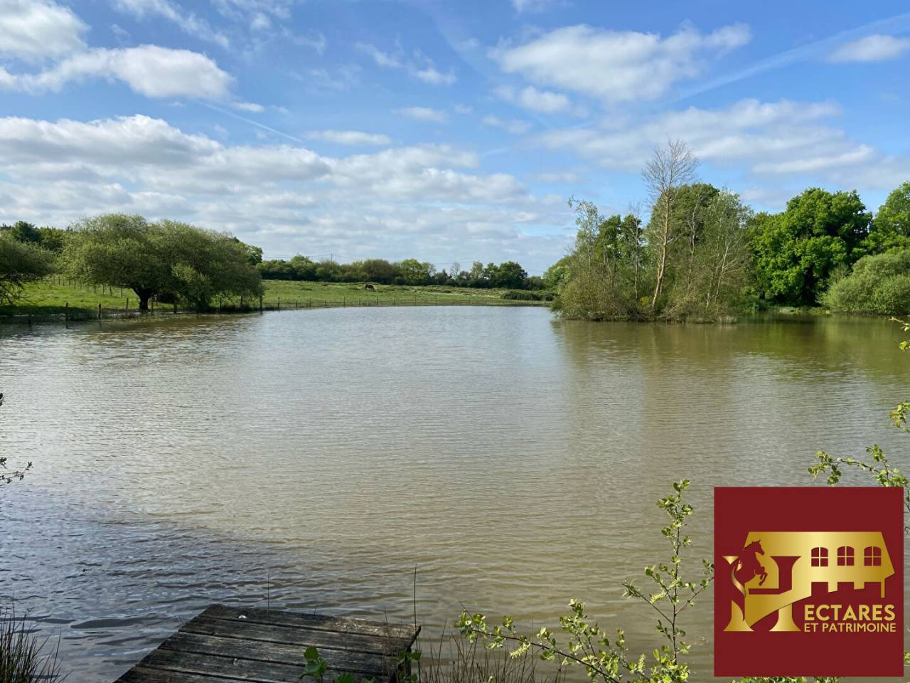 propri&eacute;t&eacute; &eacute;questre, 5 hectares, carri&egrave;re, &eacute;tang et d&eacute;pendance de 500 m2