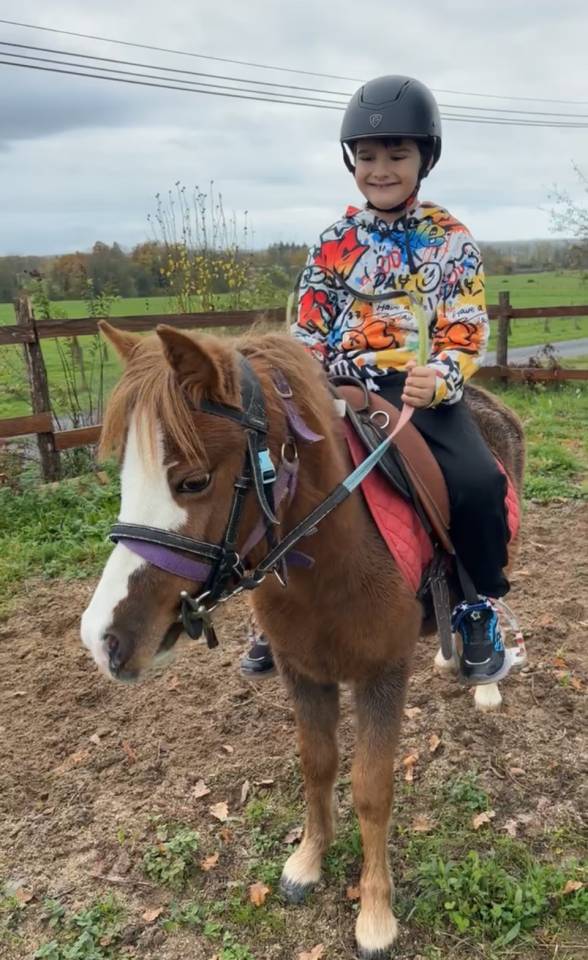 Ponette pour club ou particuliers 