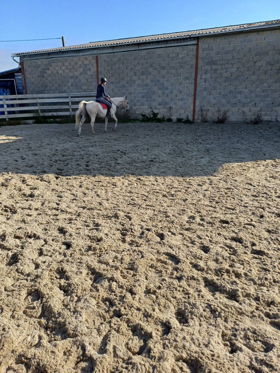 Cheval espagnol - CDE - 15 ans - Loisirs