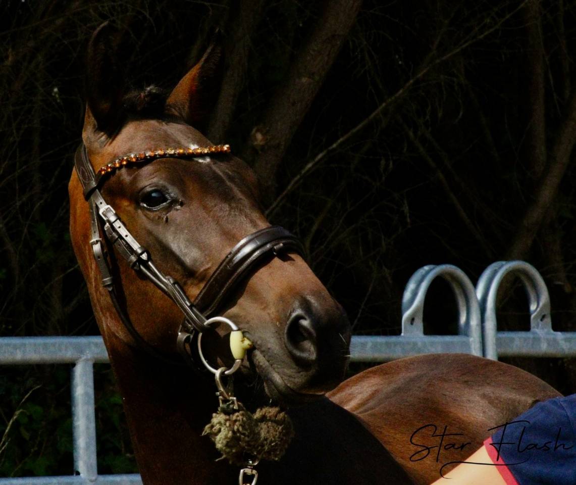 Natty Boop de Marli&egrave;re