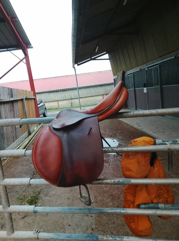 Selle obstacle butet 17,5