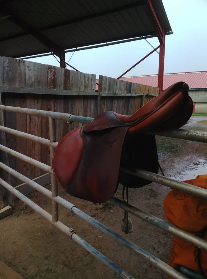 Selle obstacle butet 17,5