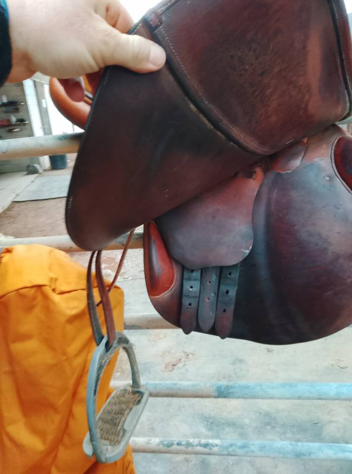 Selle obstacle butet 17,5