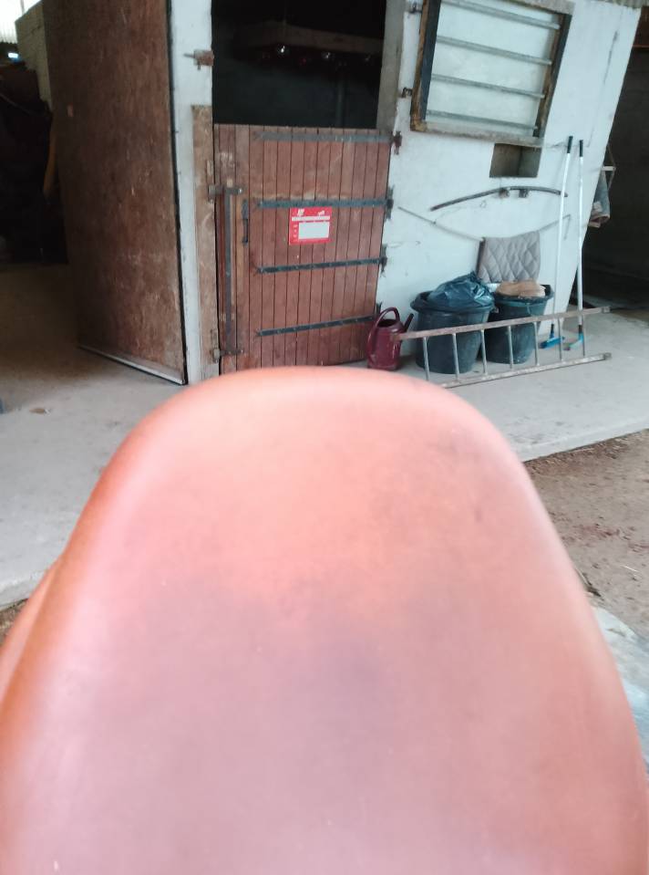 Selle obstacle butet 17,5