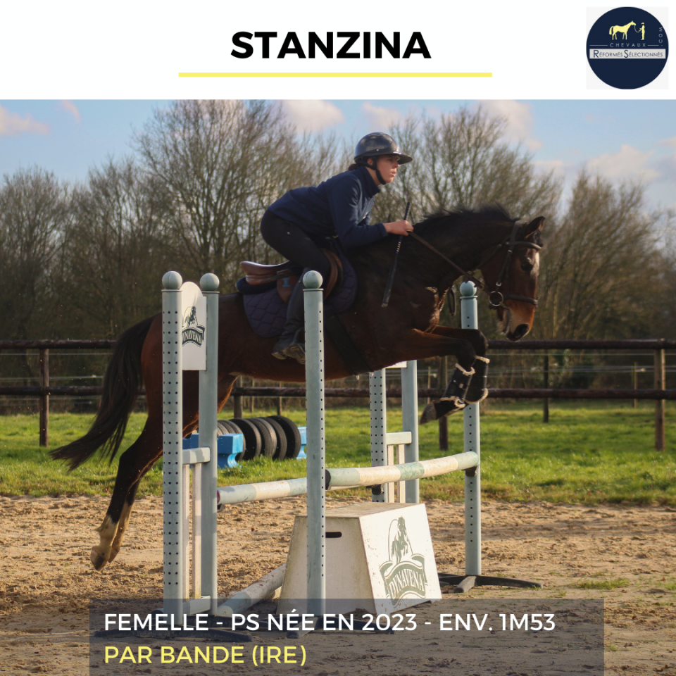 STANZINA - PS - 3 ANS