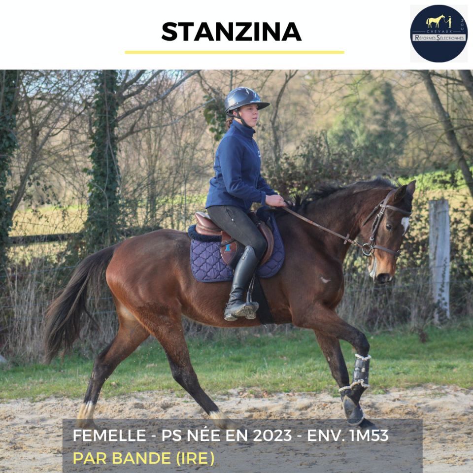 STANZINA - PS - 3 ANS