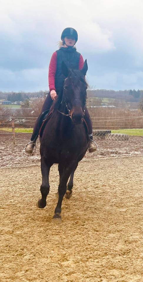 Superbe jument de 10ans polyvalente 