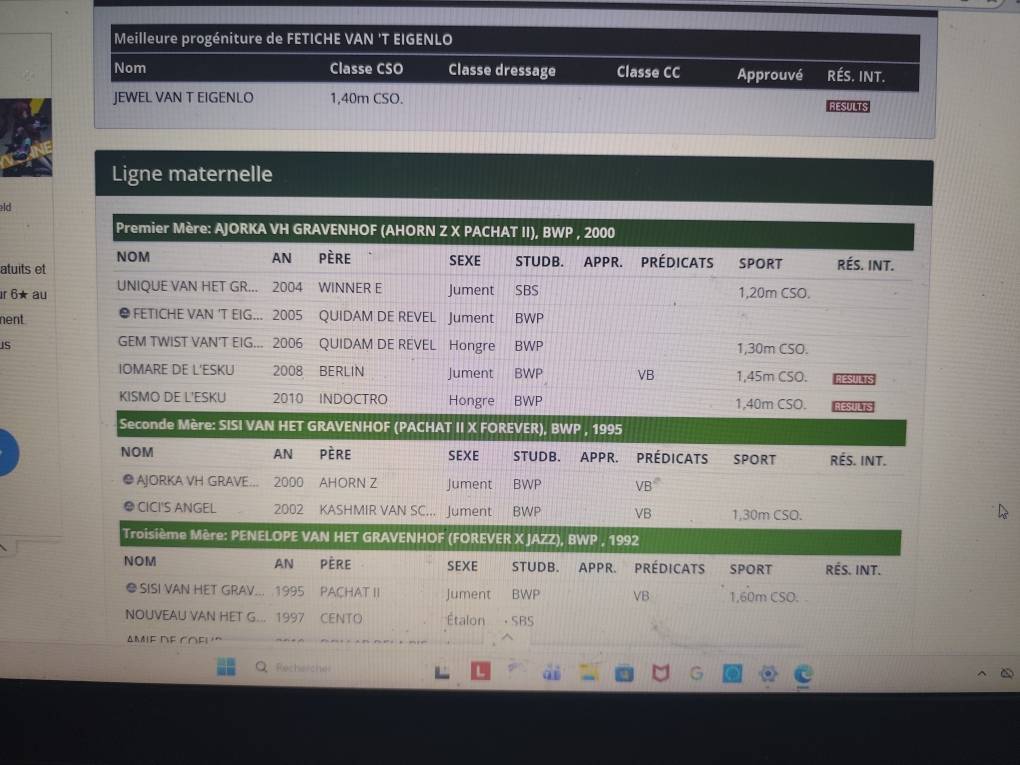 Pouliniere par quidam de revel  de 2005 