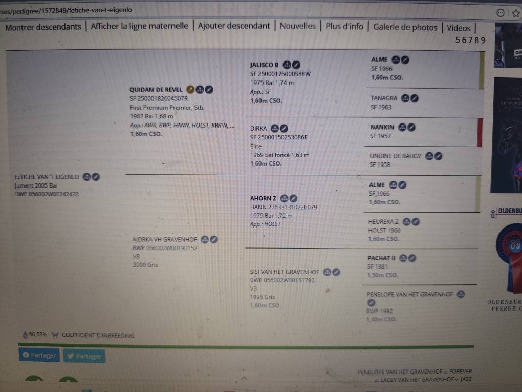 Pouliniere par quidam de revel  de 2005 