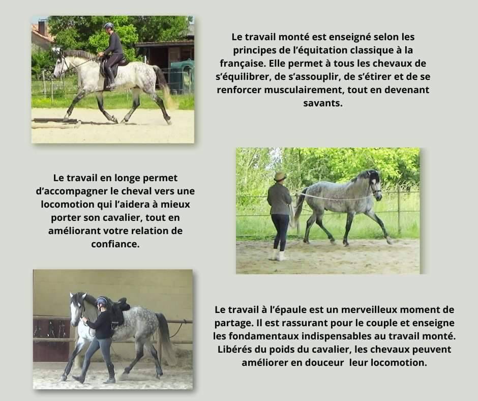 &Eacute;quitation Baliros, l'&eacute;quitation &agrave; domicile.
