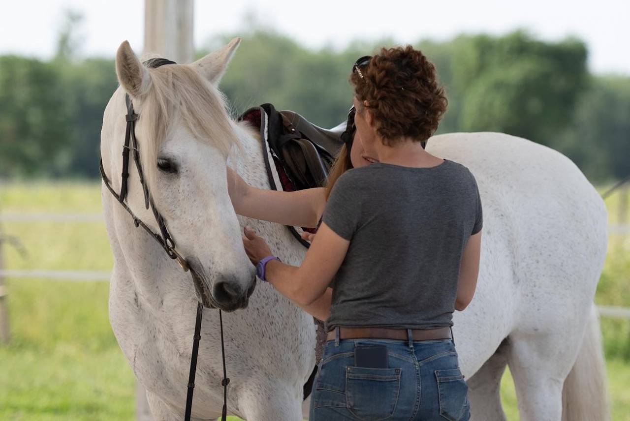 &Eacute;quitation Baliros, l'&eacute;quitation &agrave; domicile.