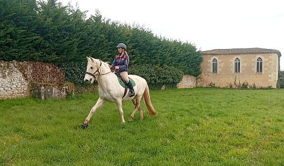 &Eacute;quitation Baliros, l'&eacute;quitation &agrave; domicile.