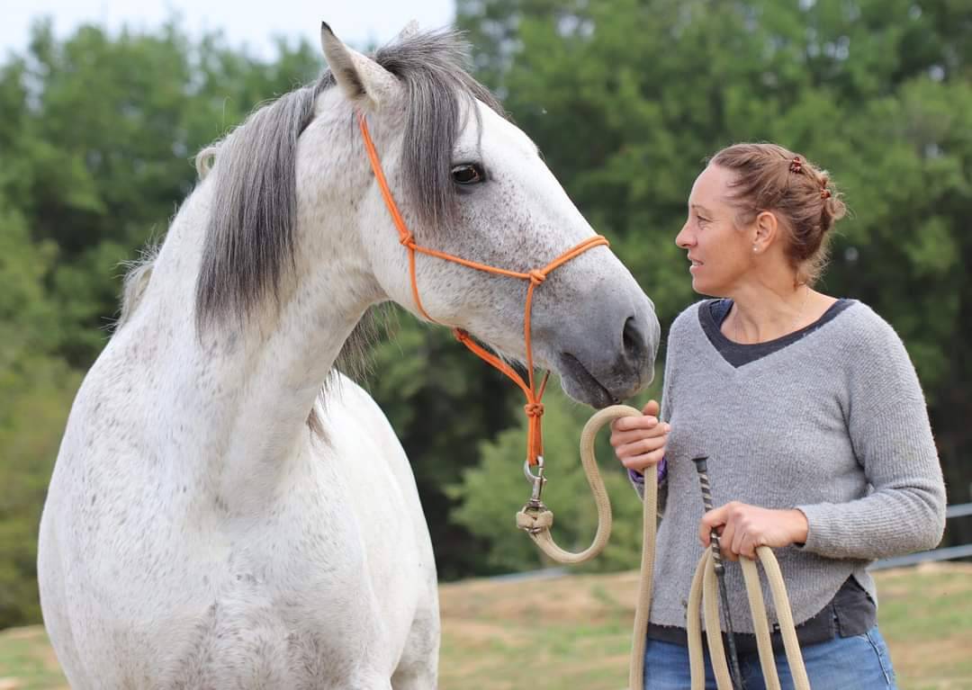 &Eacute;quitation Baliros, l'&eacute;quitation &agrave; domicile.