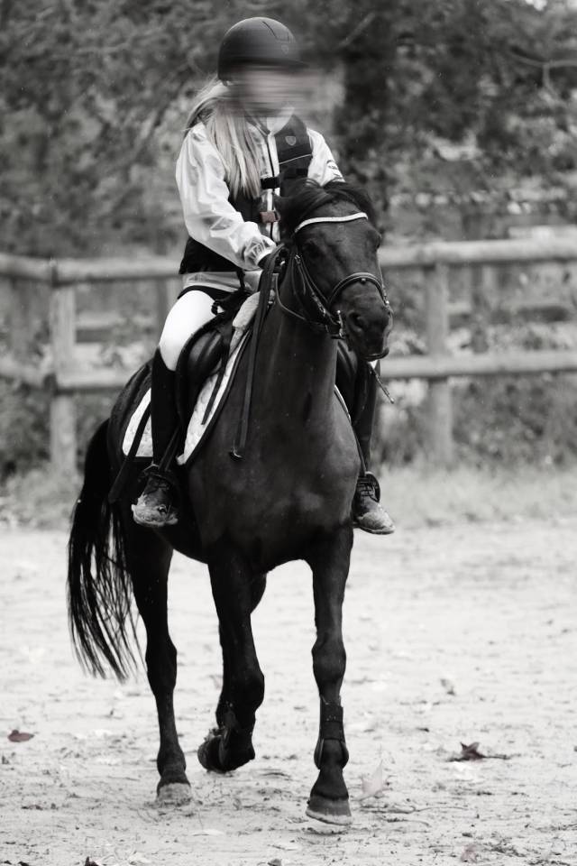 Ponette &agrave; vendre 