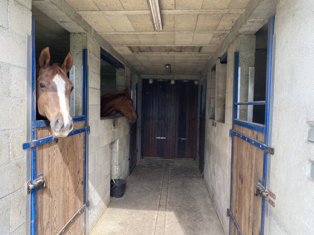 Belle propri&eacute;t&eacute; avec boxs pour 4 chevaux 