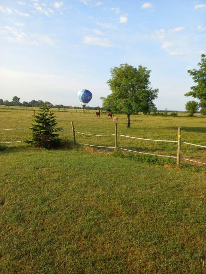 Belle propri&eacute;t&eacute; avec boxs pour 4 chevaux 