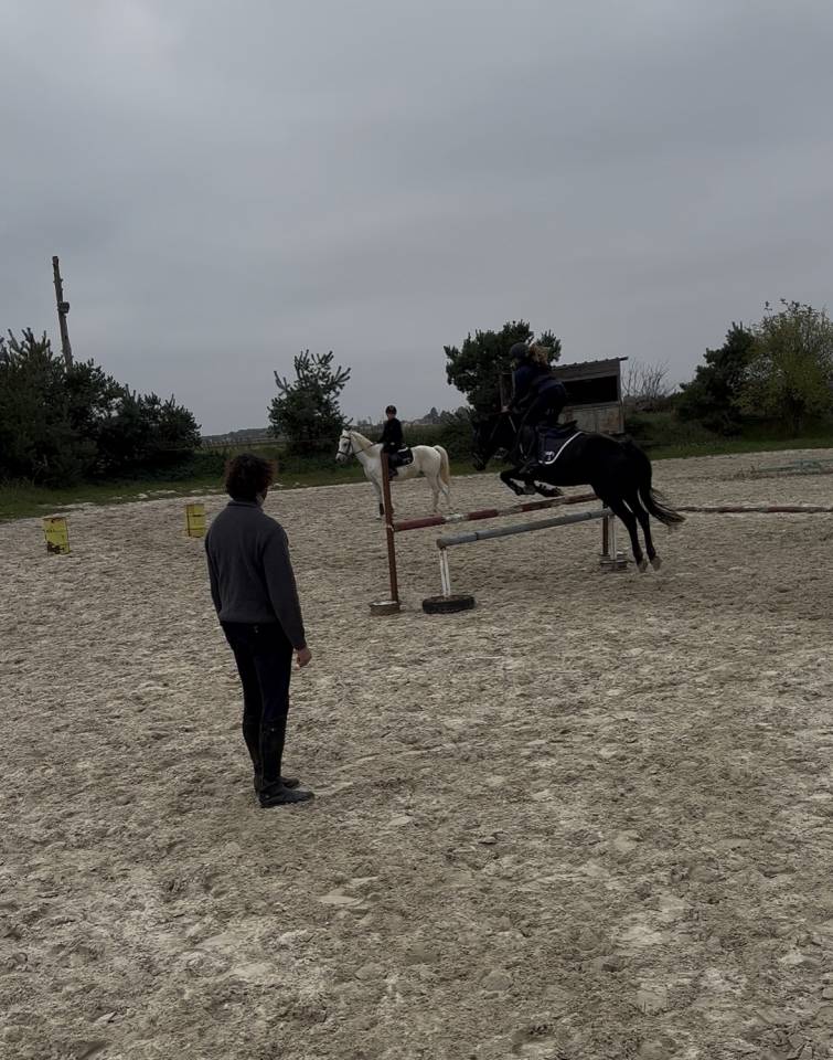 Ponette &agrave; vendre 