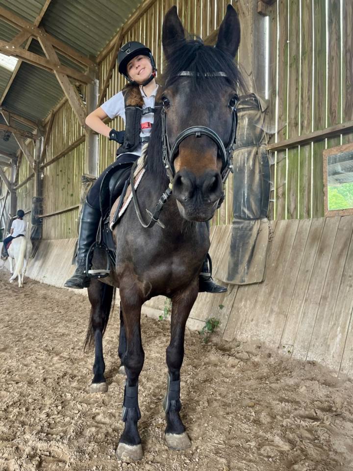 Ponette &agrave; vendre 