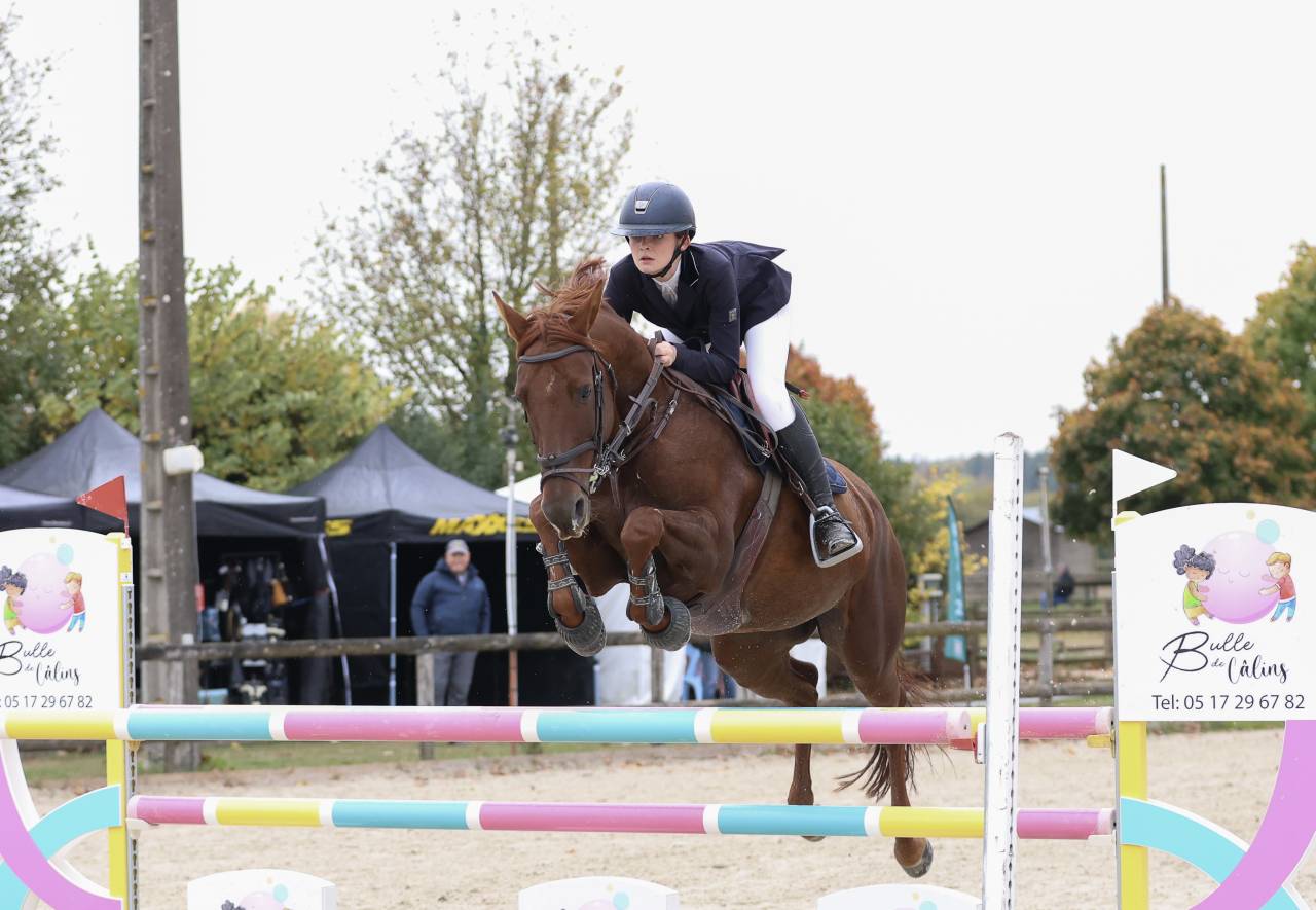 Jument de sport &agrave; Vendre