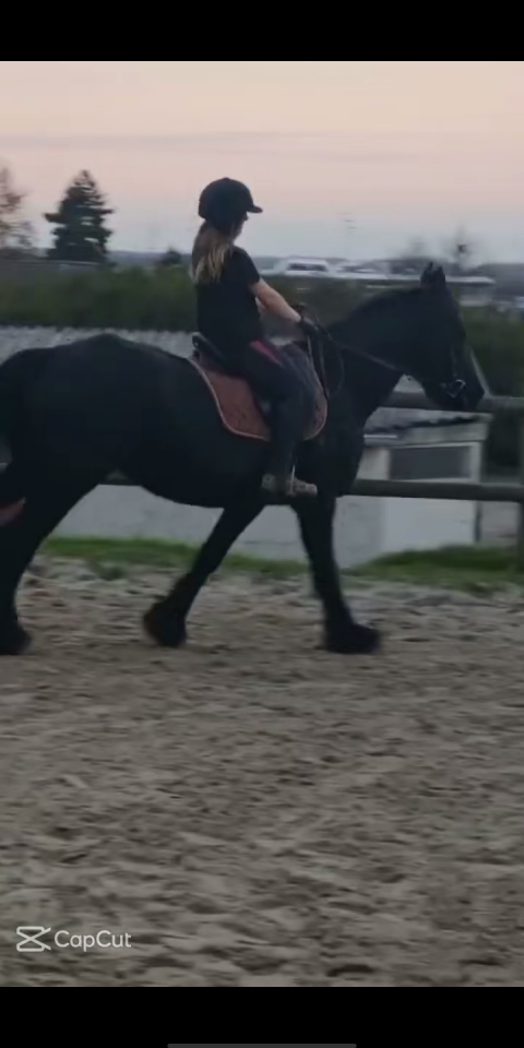 RECHERCHE APPRENTISSAGE BAC PRO CGEH 