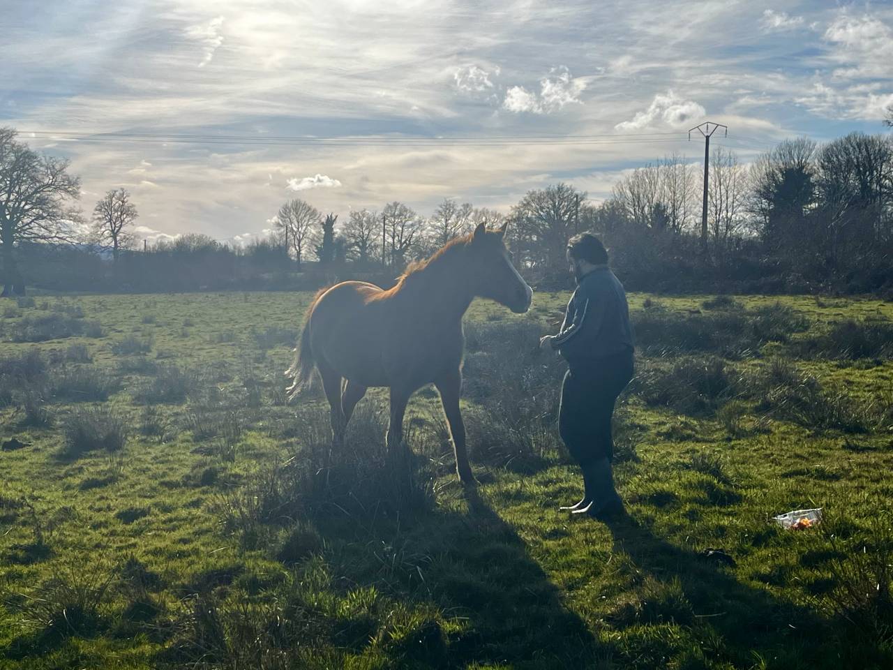 Pension des Ternes - Nord-est de la Creuse