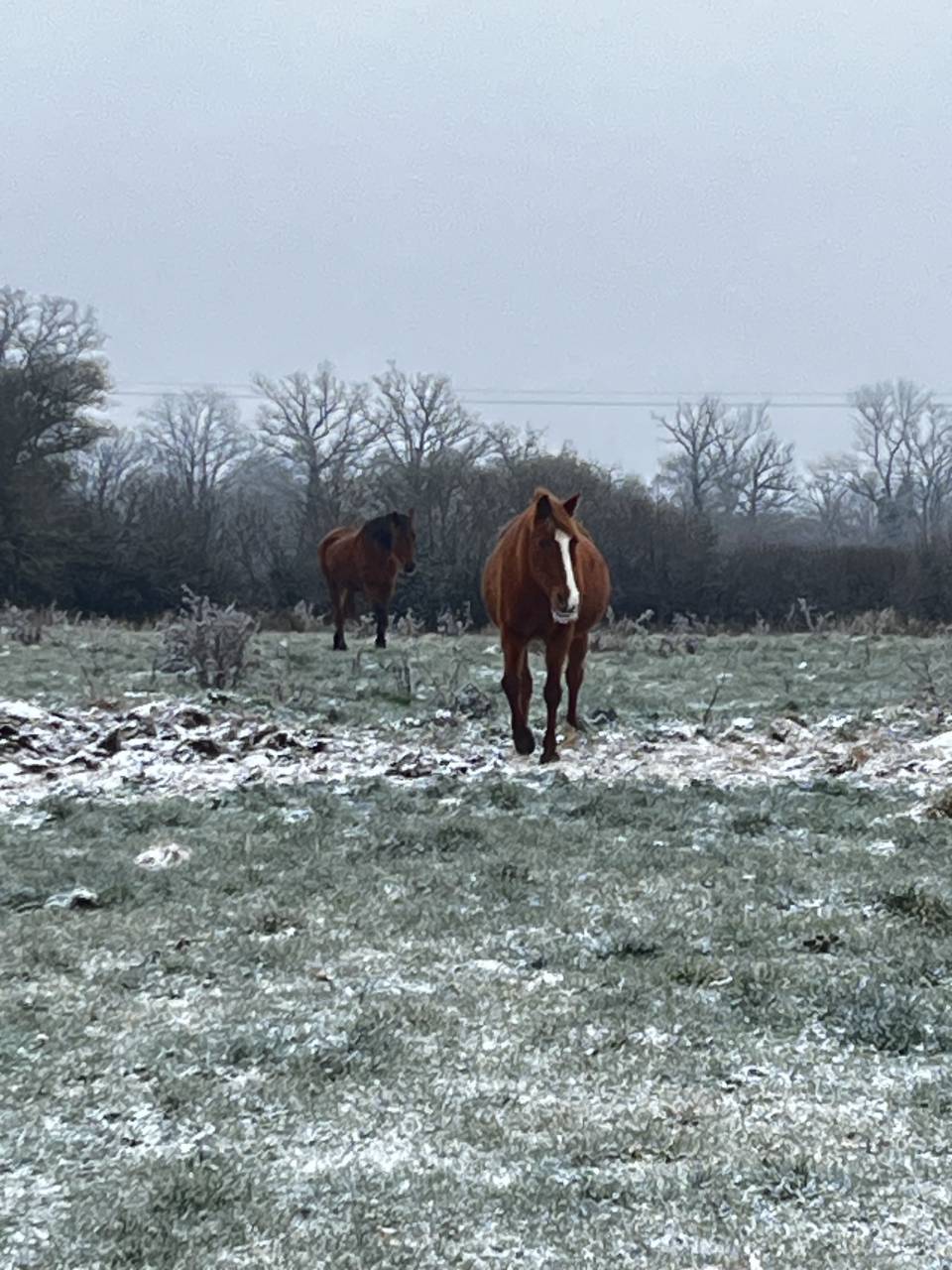 Pension des Ternes - Nord-est de la Creuse