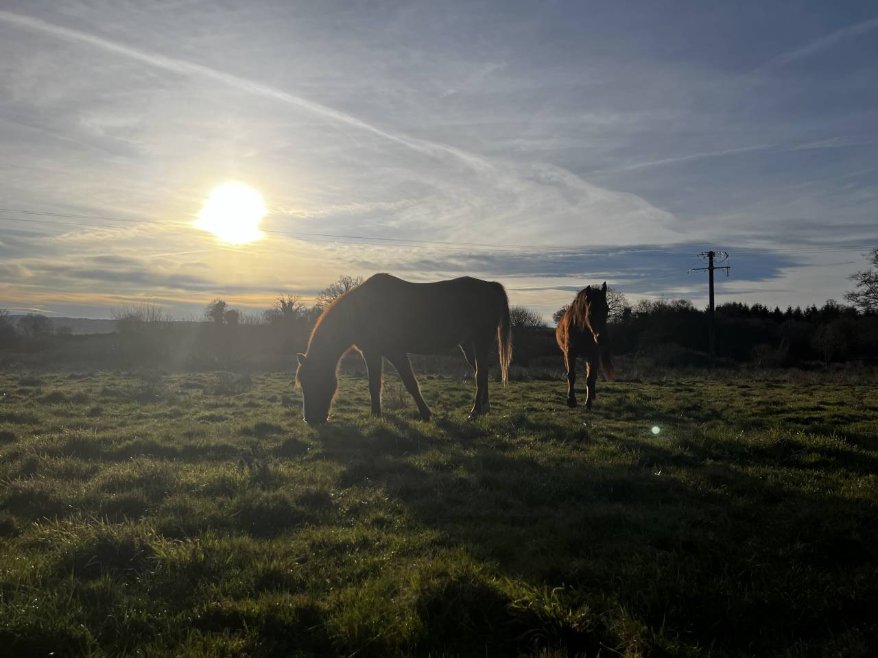 Pension des Ternes - Nord-est de la Creuse