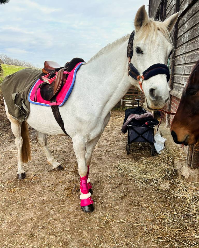 &Agrave; vendre Unit&eacute; des Sillery