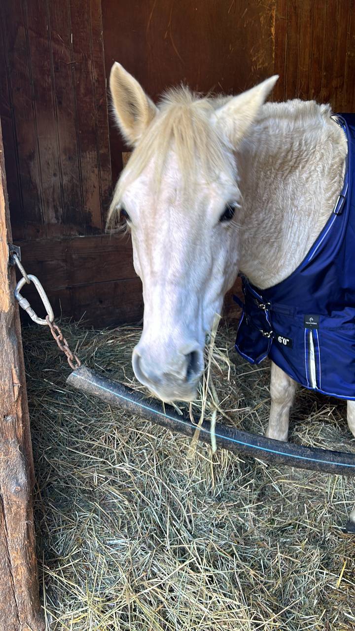 &Agrave; vendre Unit&eacute; des Sillery